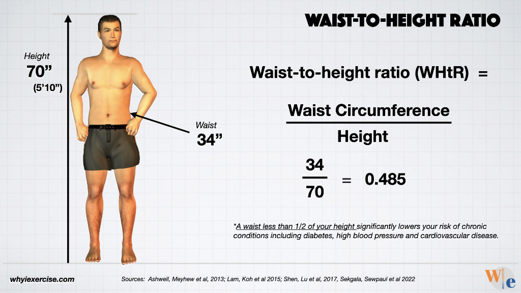 Army WHtR formula waist circumference divided by height